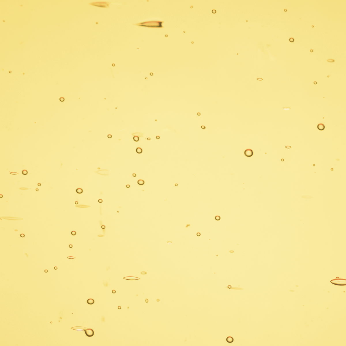 Transparent Honey