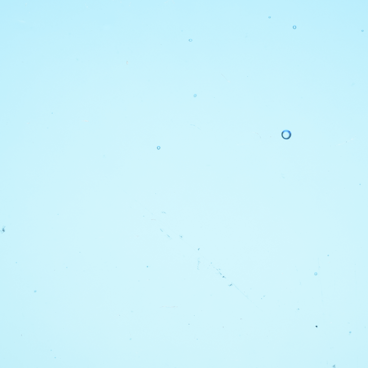 Transparent Deep Sky Blue