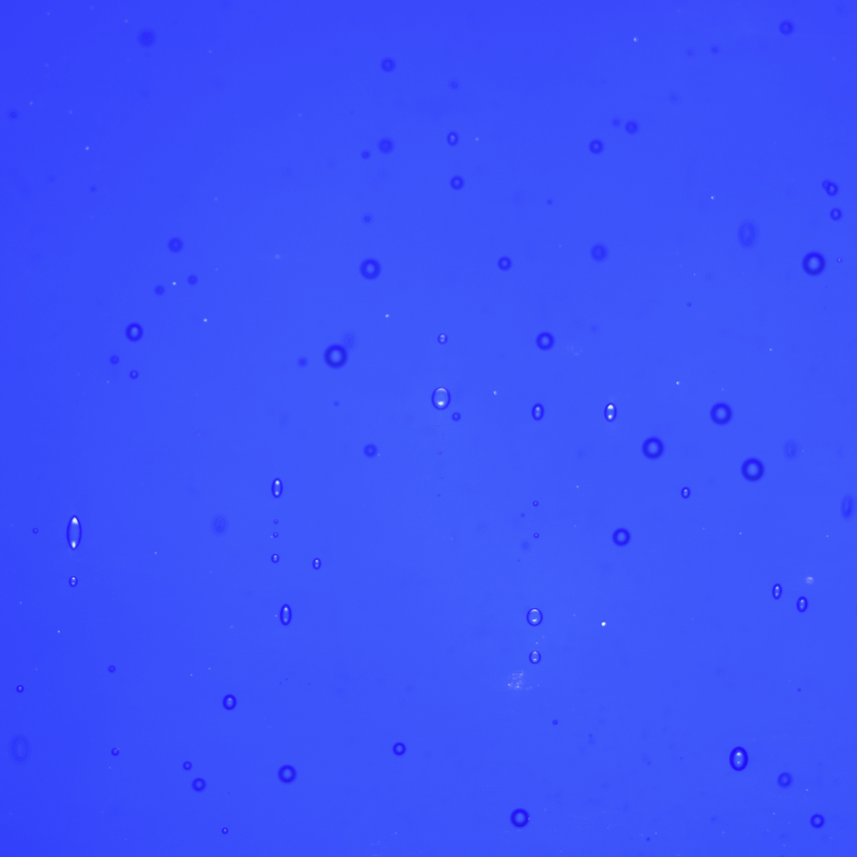 Transparent Midnight Blue