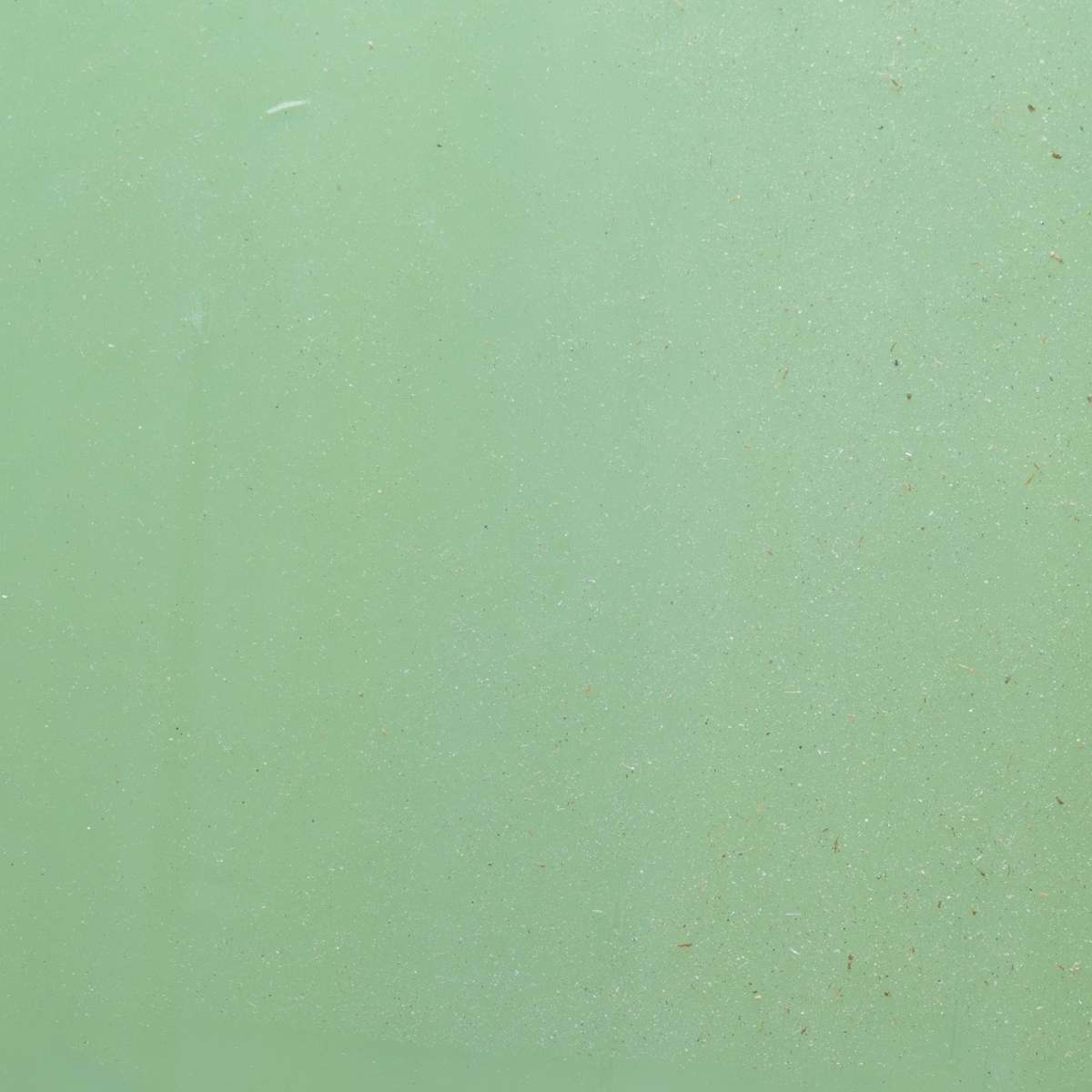 Prisma White/Dark Green Opal