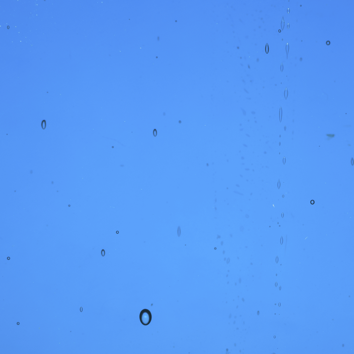 Transparent Sea Blue