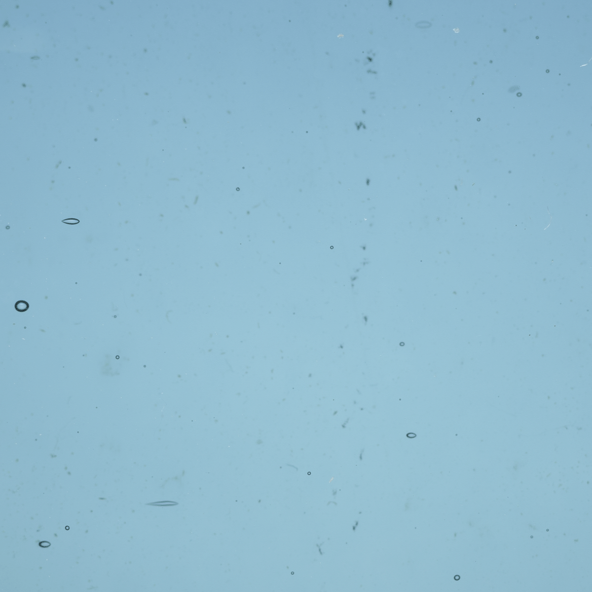 Transparent Steel Blue