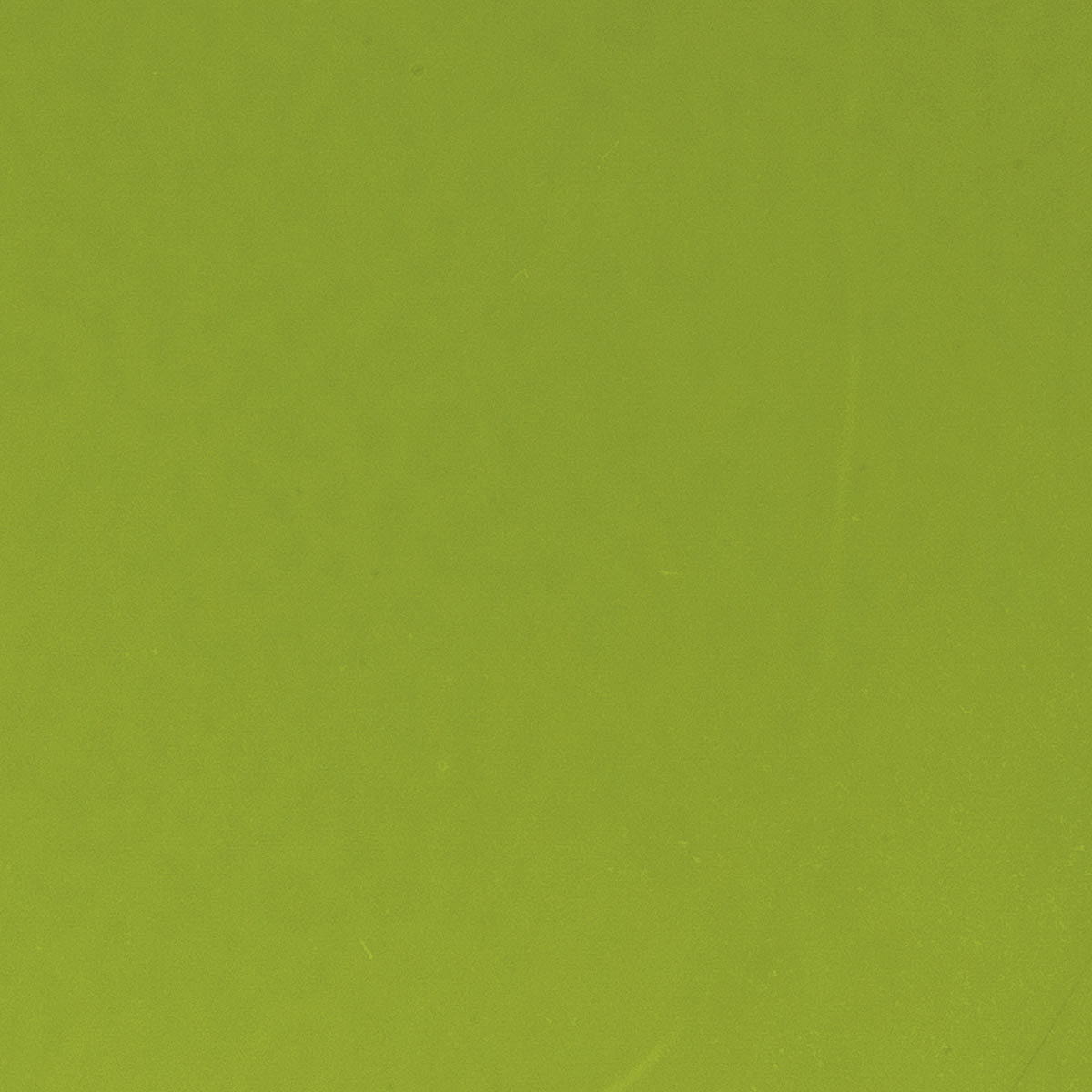 Pea Pod Curious, 3 mm