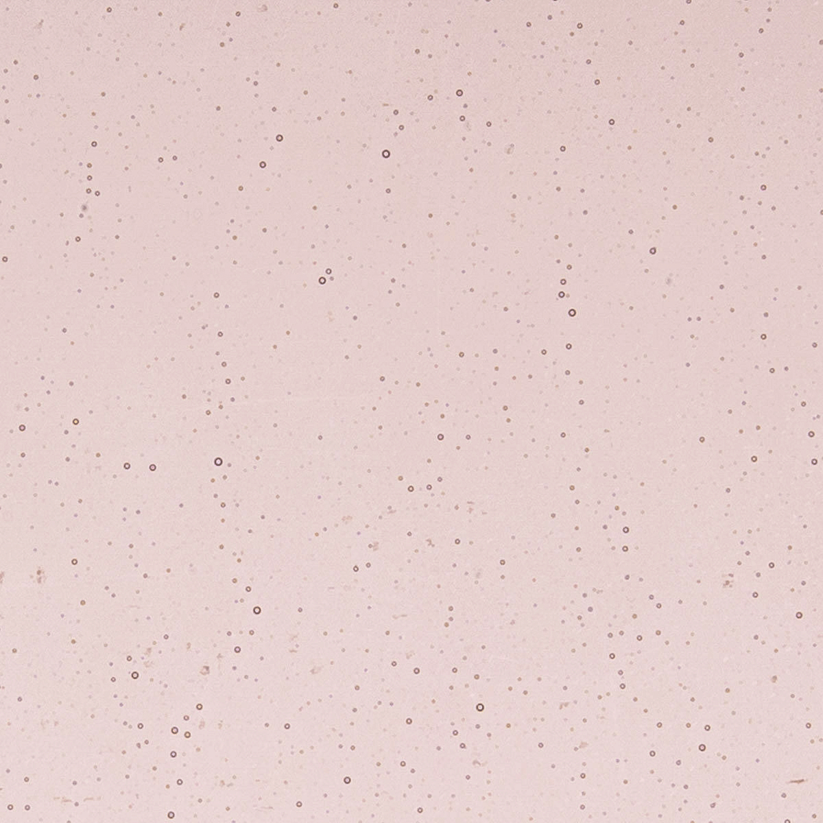 Light Plum, 2 mm