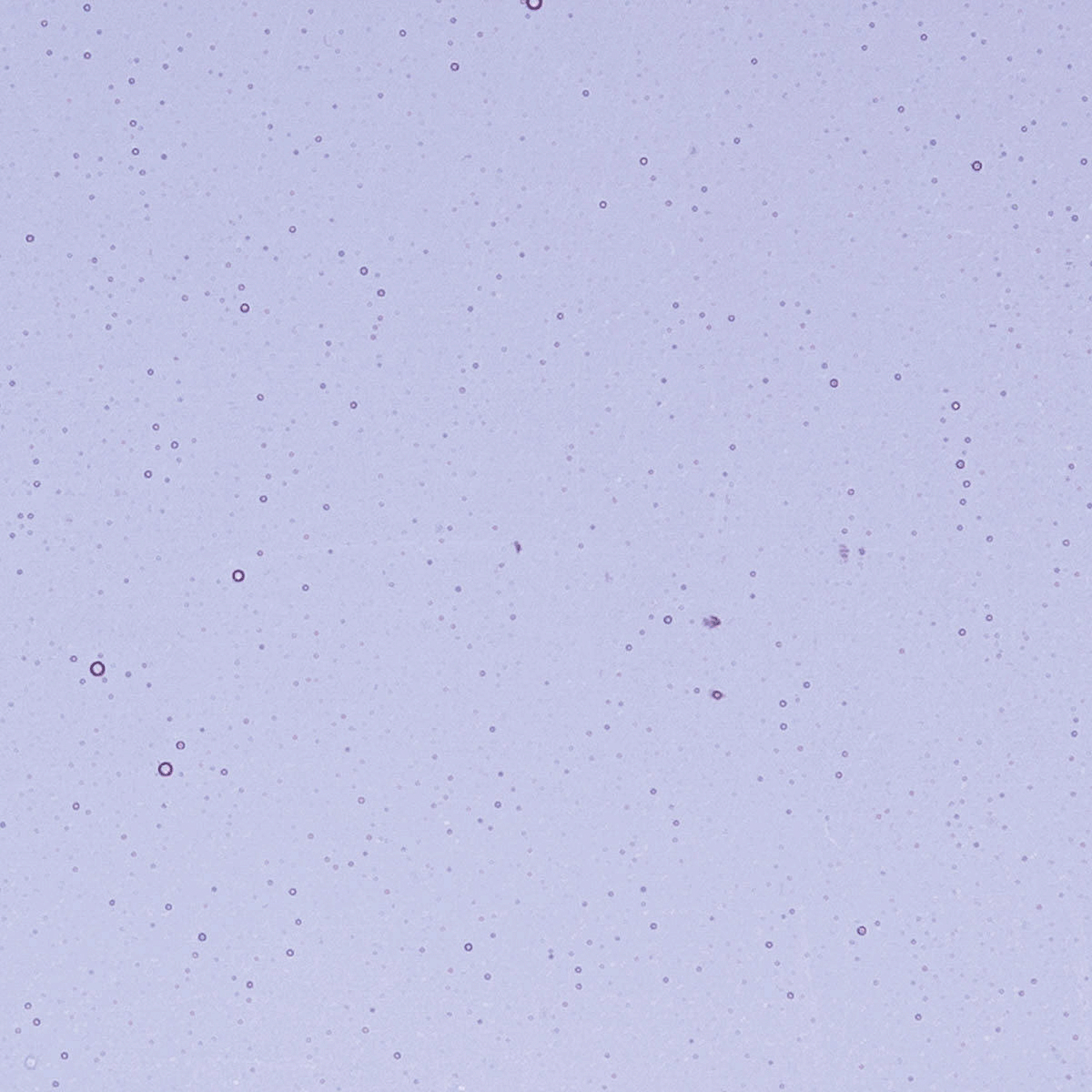 Neo-Lavender Shift, 3 mm