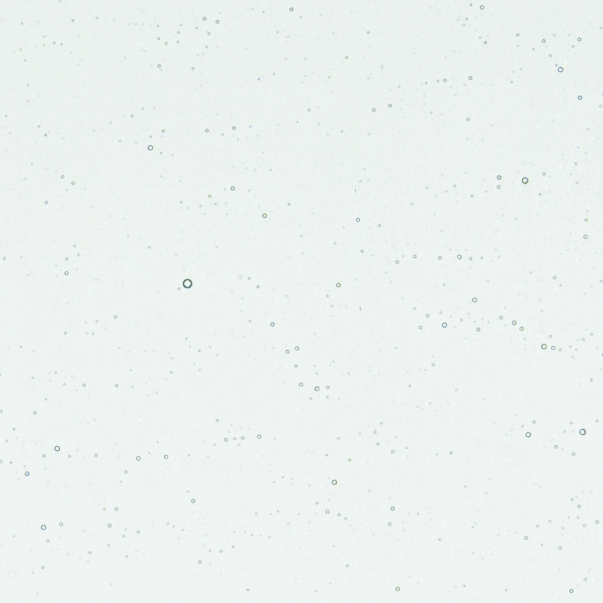 Aqua Blue Tint, 3 mm