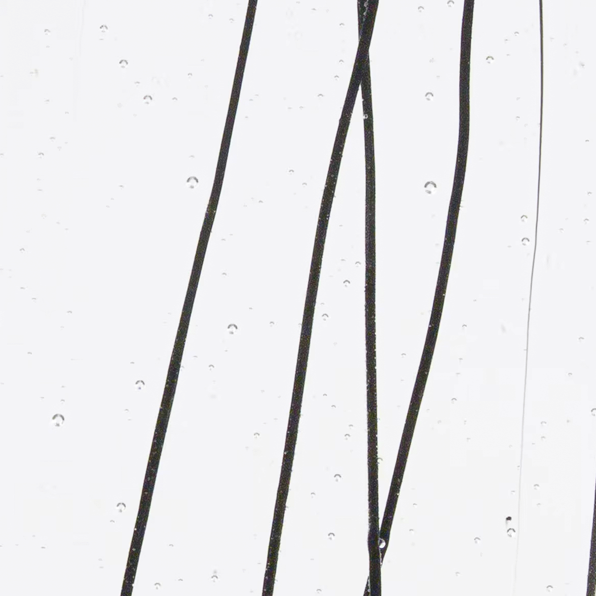 Black Streamers on Clear Base, 3mm