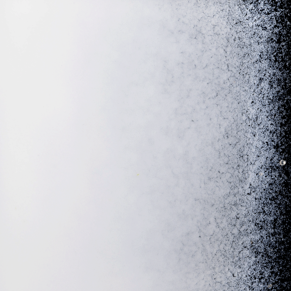 Opaque White Opalescent, Powder, 5 lbs.
