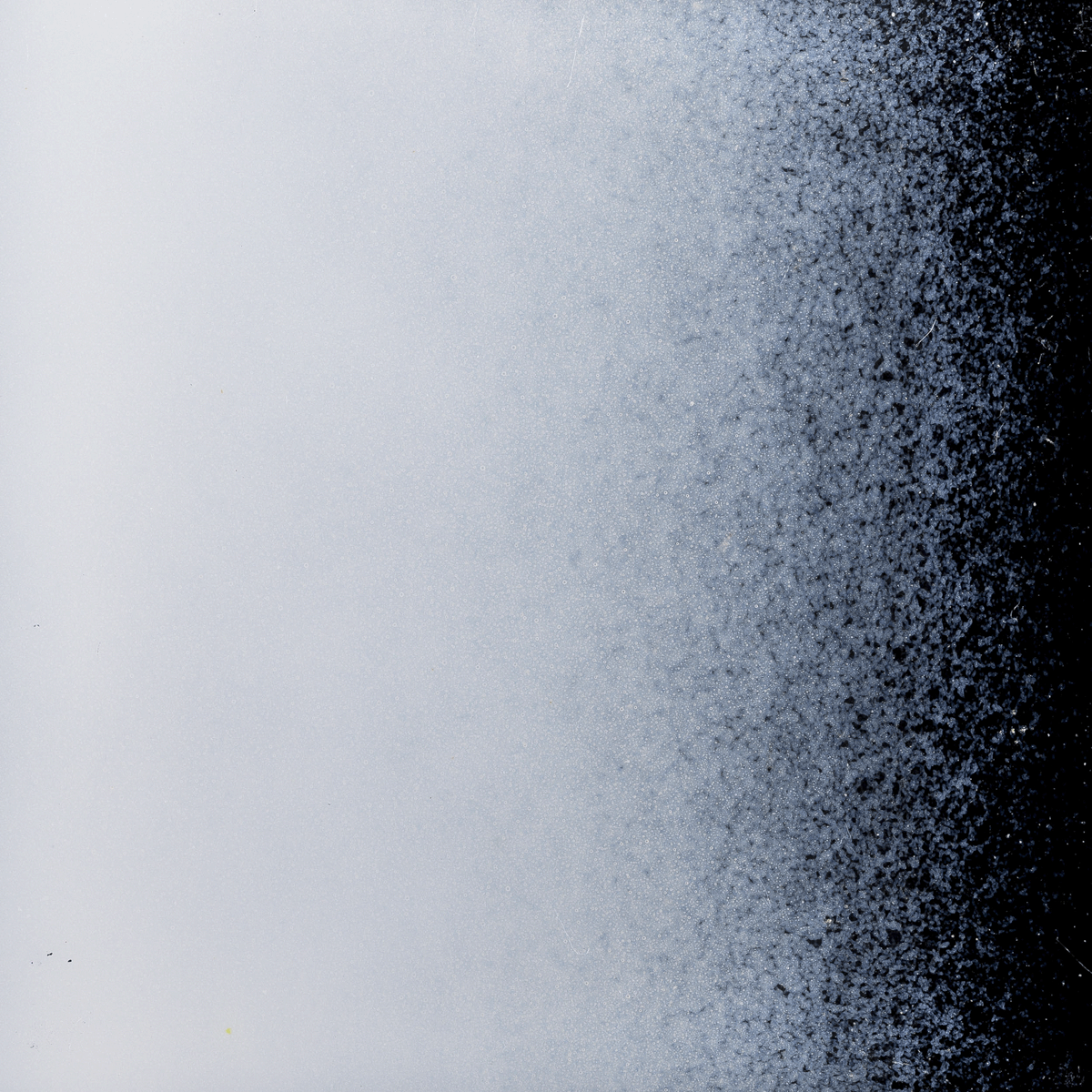 White Opalescent, Powder, 5 lb.