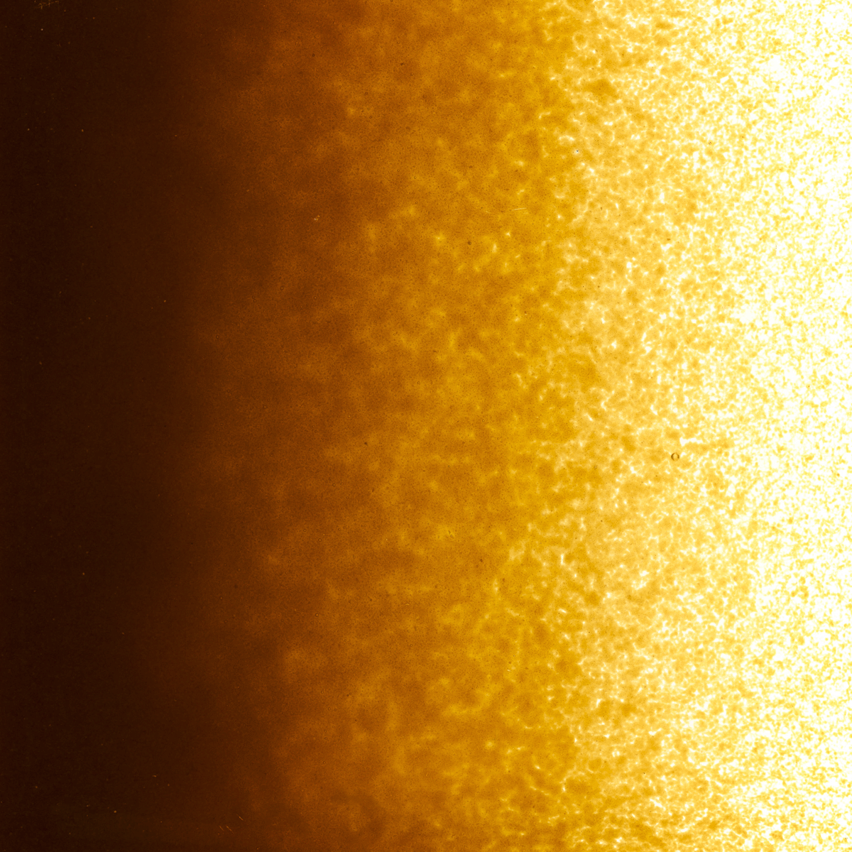 Woodland Brown Opalescent, Powder, 1lb