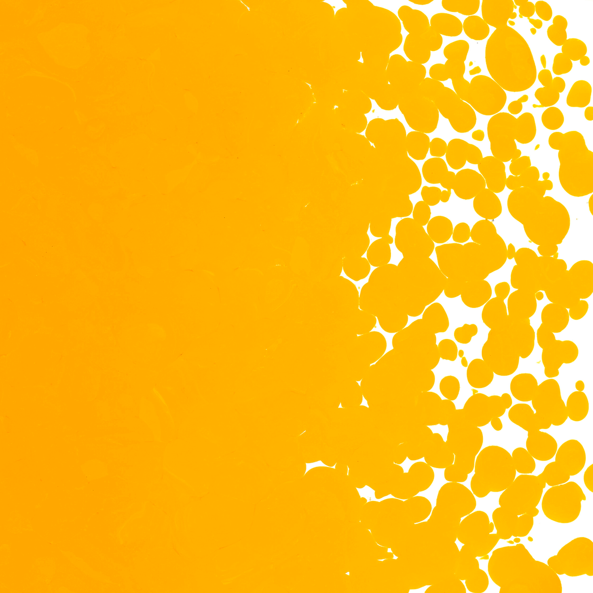 Marigold Yellow Opal Coarse, 1 lb.