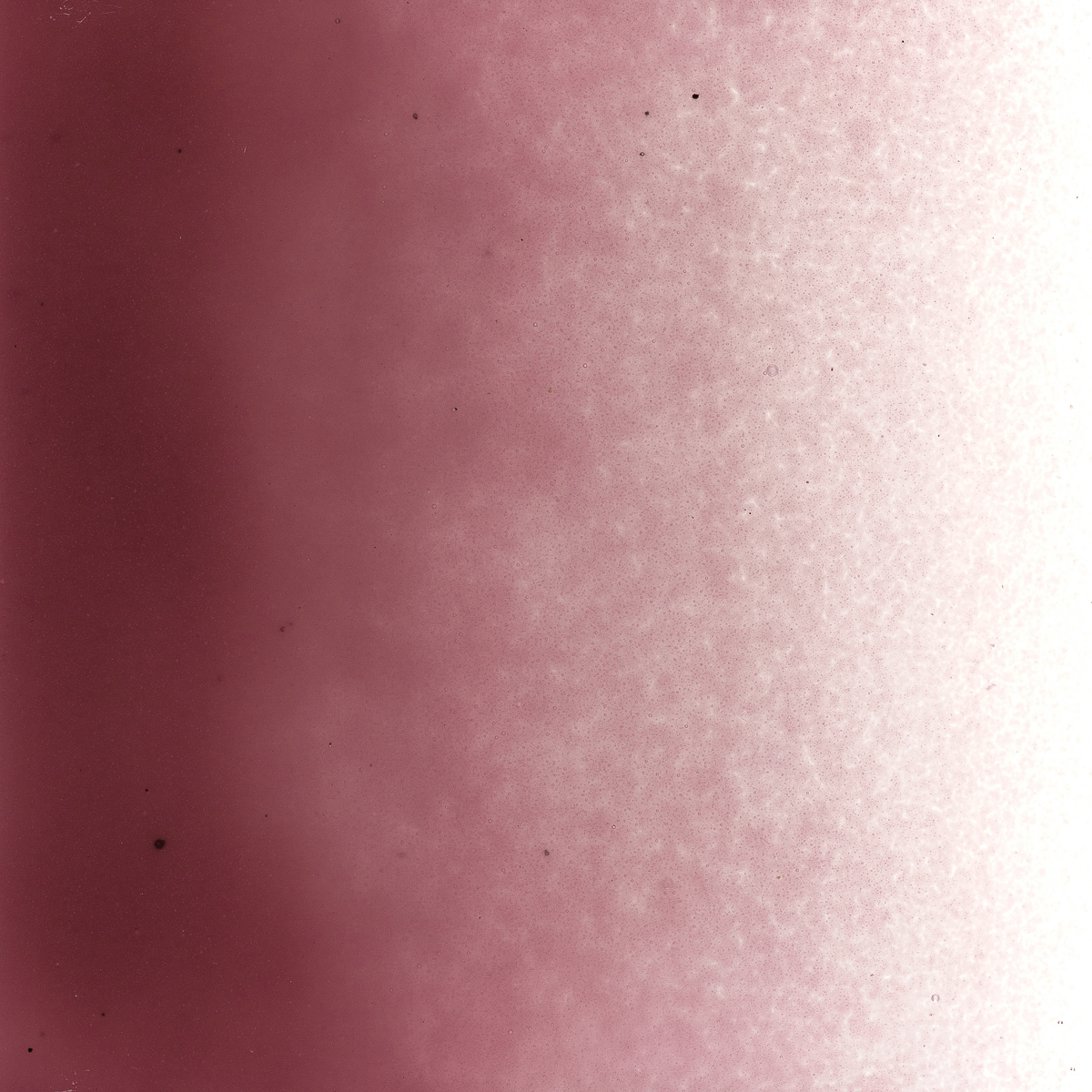 Plum Opalescent, Powder, 1 lb.