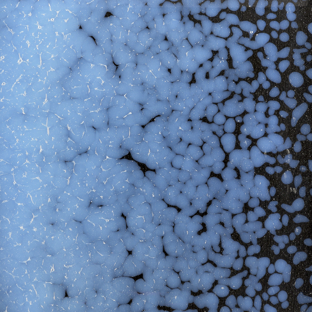 Opaline Opalescent, Medium, 1 lb.