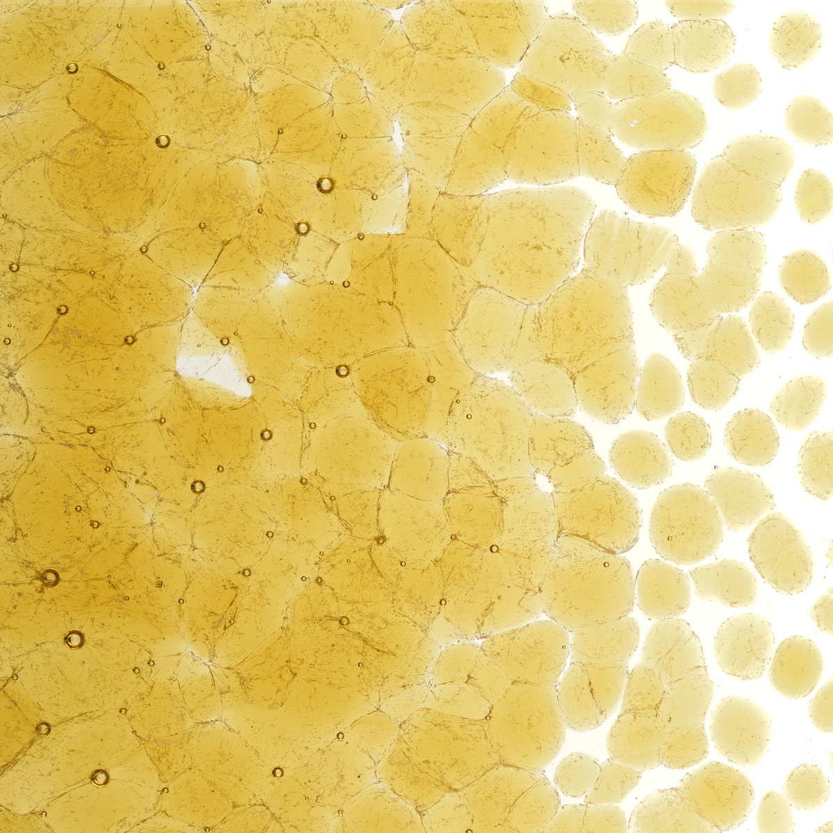 Medium Amber Transparent, Coarse, 1 lb.