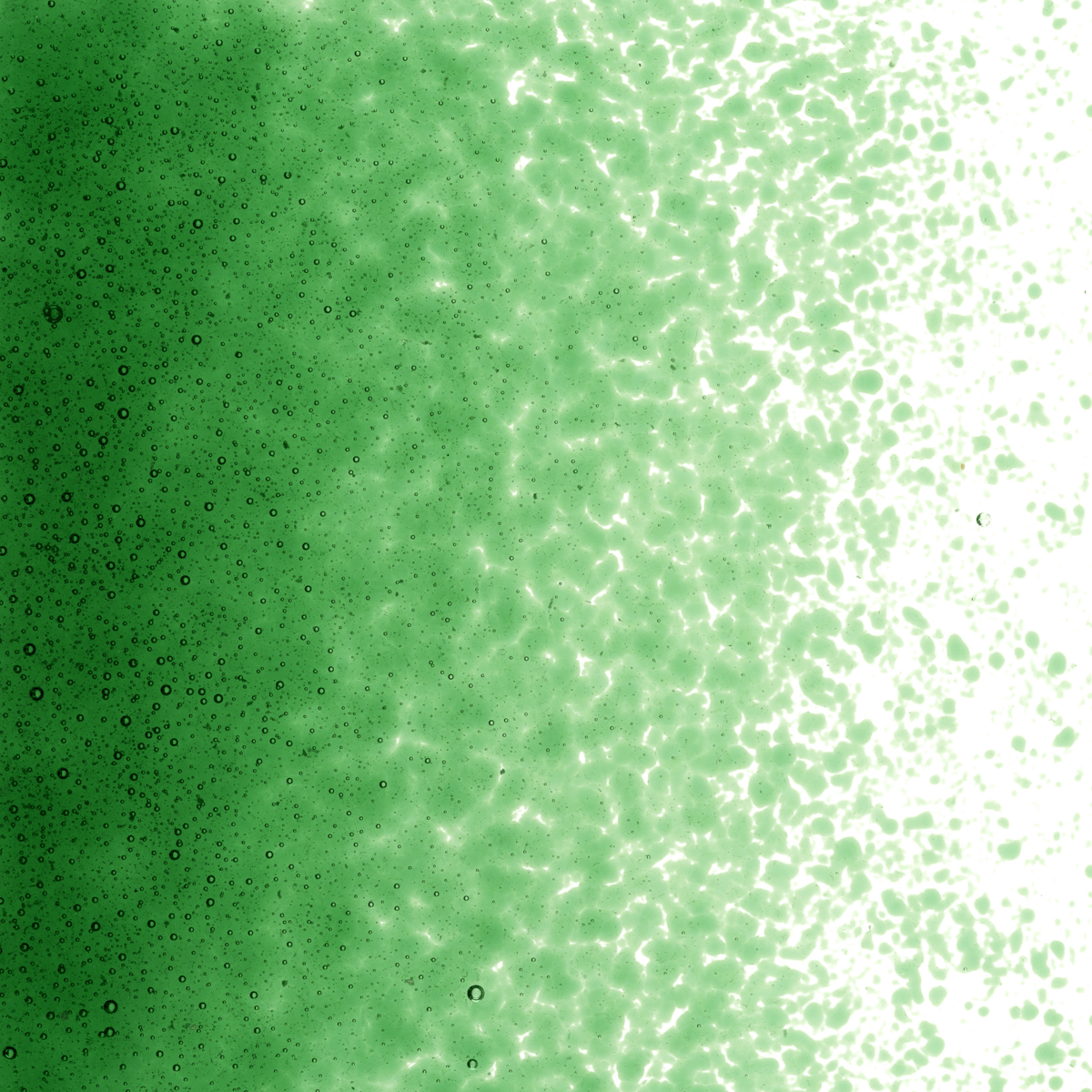 Kelly Green Transparent, Fine, 1 lb.