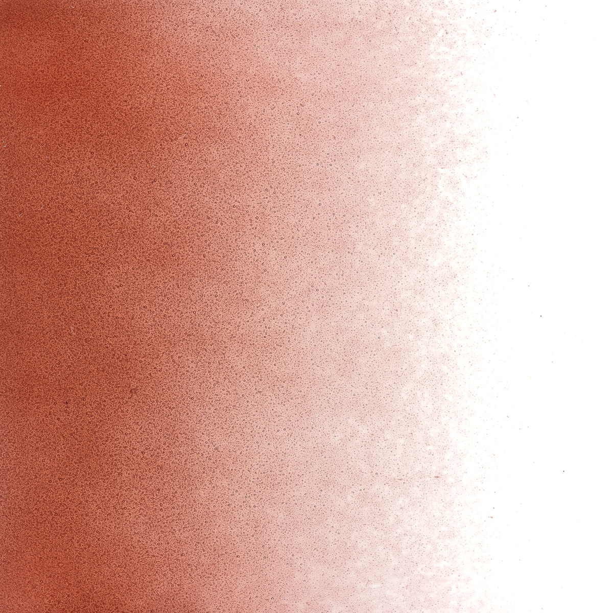 Sunset Coral Transparent, Powder, 1 lb.