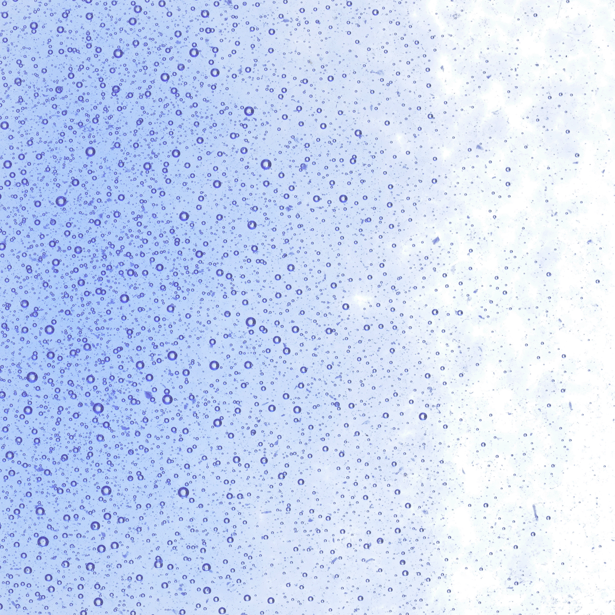 Light Sky Blue Transparent, Fine, 1 lb.