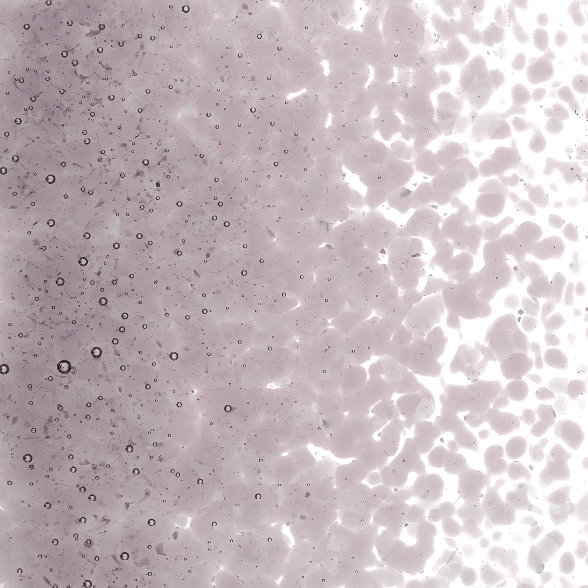 Light Violet Transparent, Medium, 1 lb.