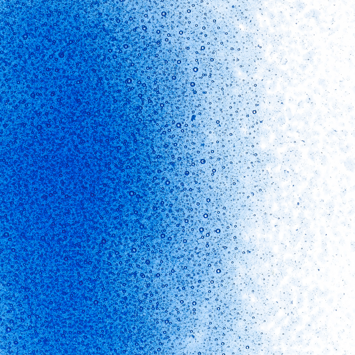 True Blue Transparent, Fine, 1 lb.