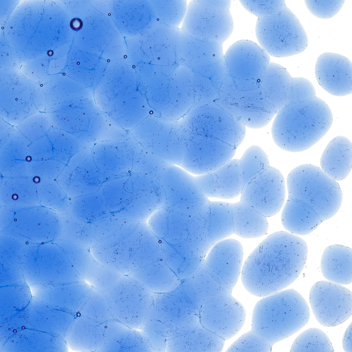 True Blue Transparent, Coarse, 1 lb.