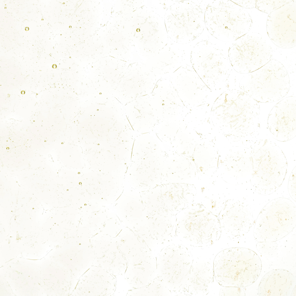 Pale Yellow Tint, Coarse, 1 lb.