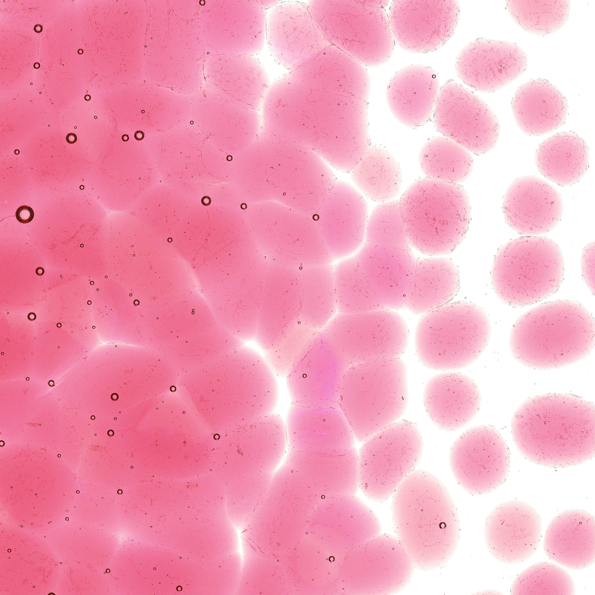 Ruby Red Tint, Coarse, 1 lb.