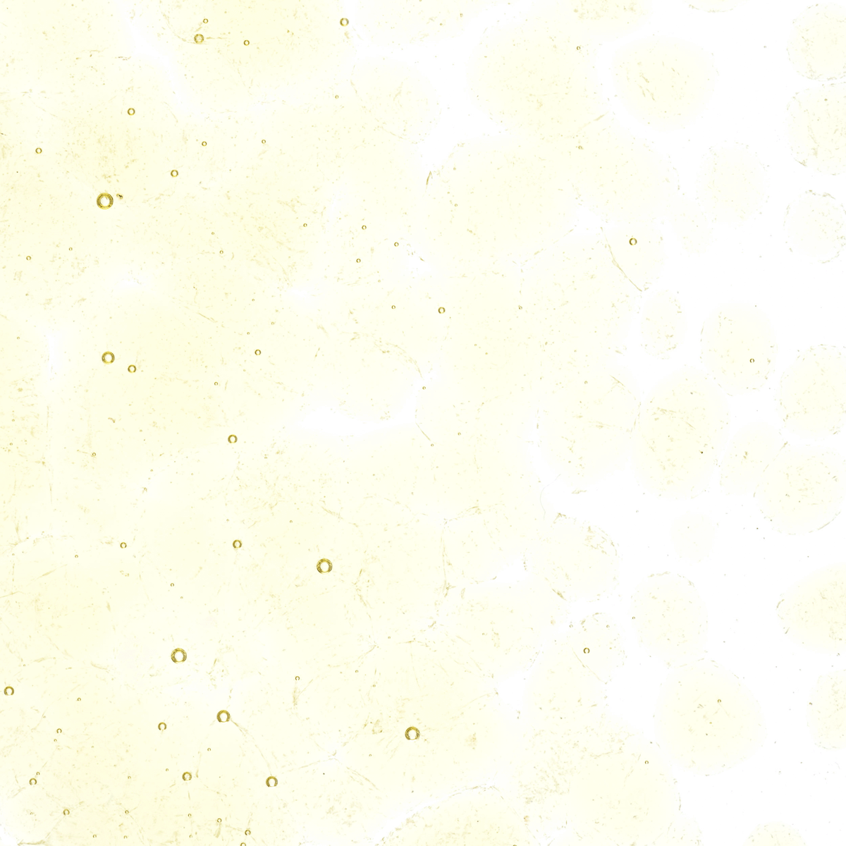 Medium Amber Tint, Coarse, 1 lb.