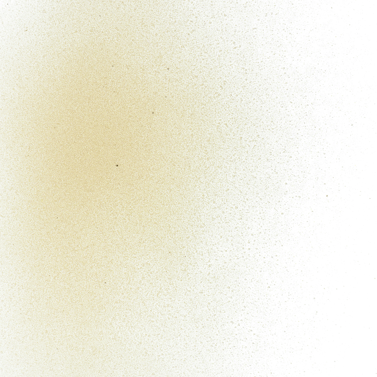 Rhubarb Shift Tint, Powder, 1 lb.