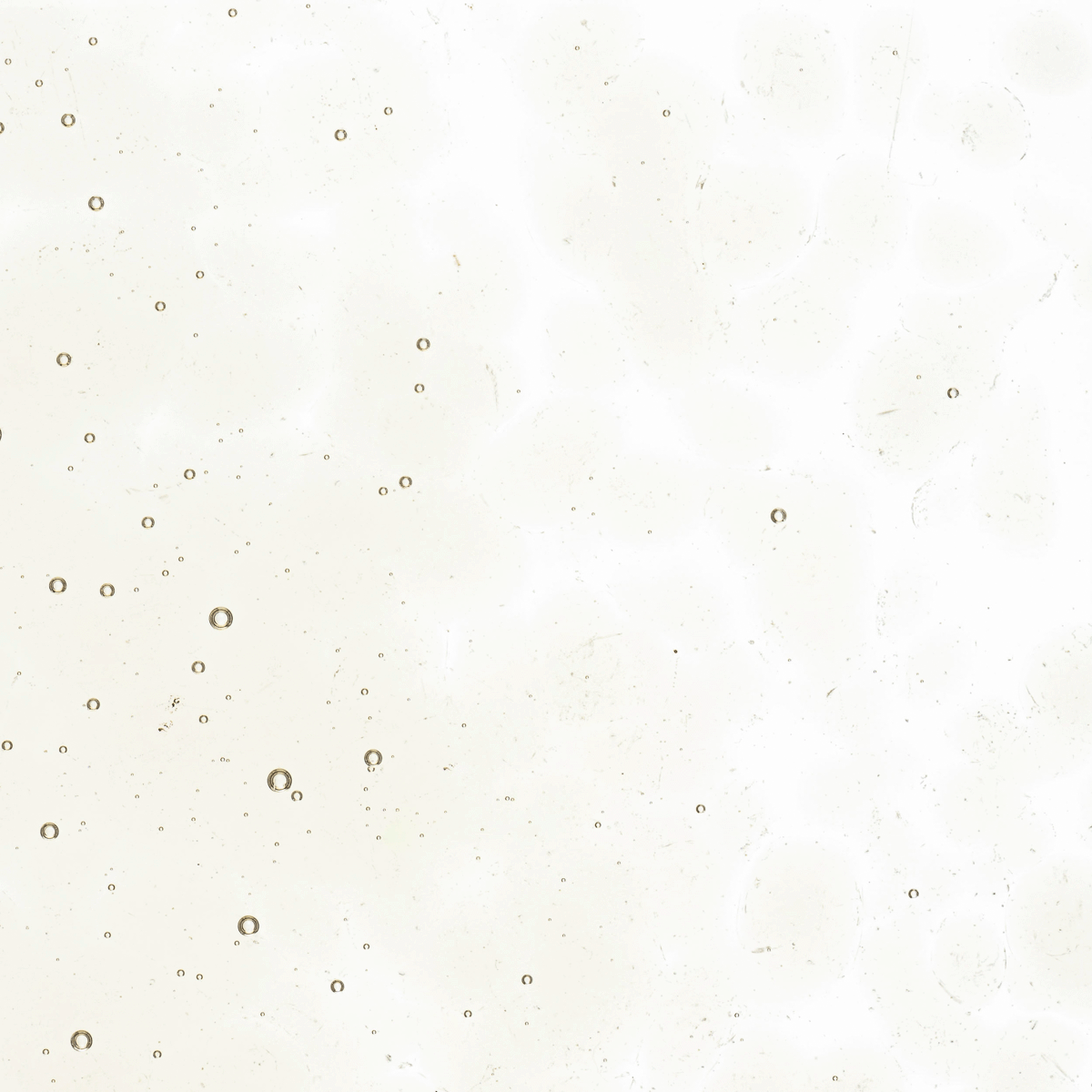 Olive Smoke Tint, Coarse, 1 lb.