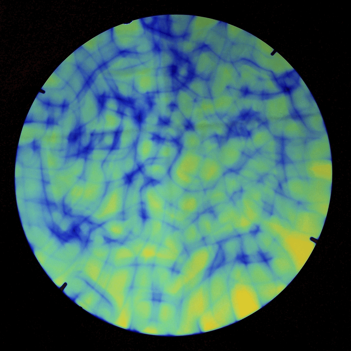 BULLSEYE 19" AURORA BOREALIS BLUE/GOLD THIN CLEAR 2mm