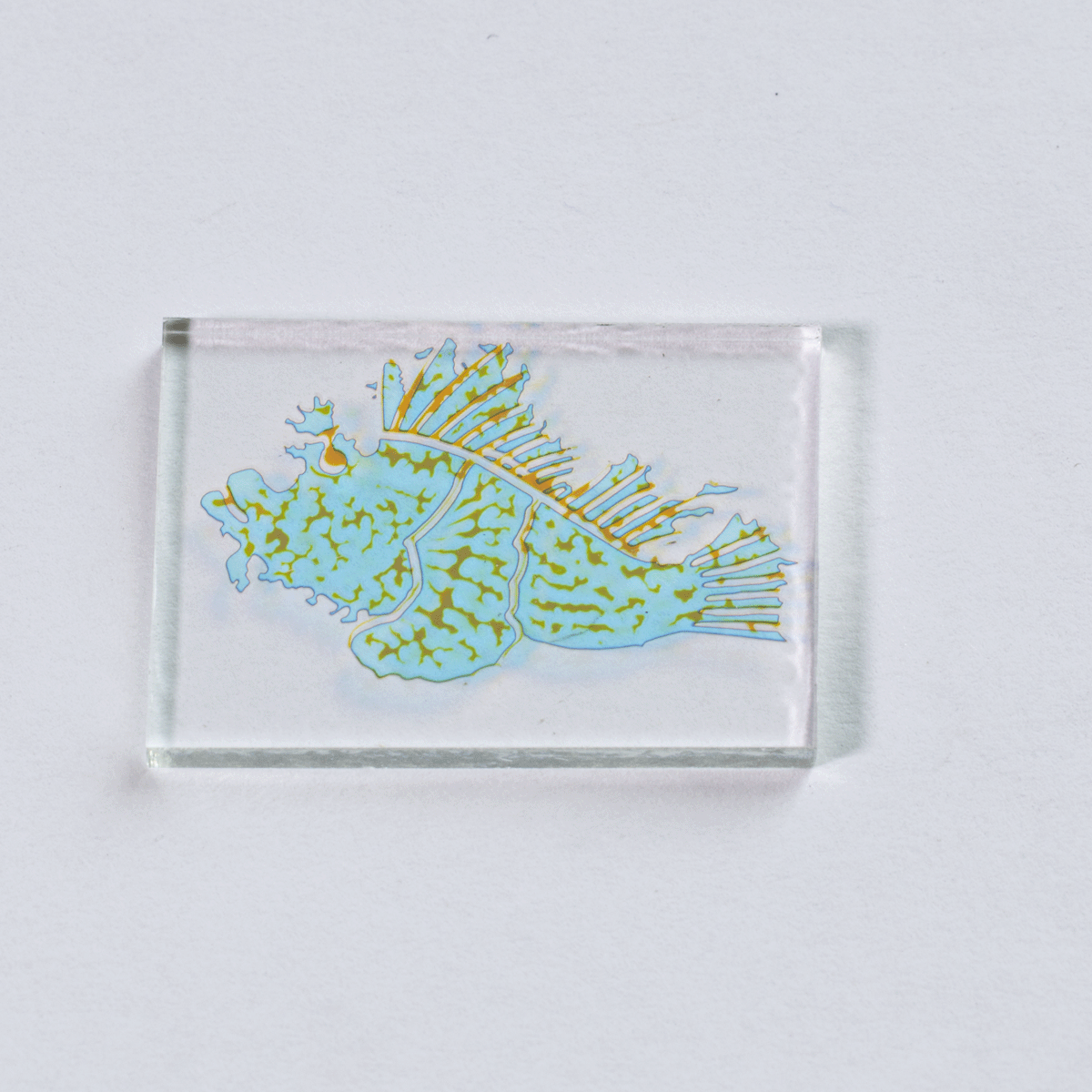 Technicolor Fish Large Size on Clear COE 96