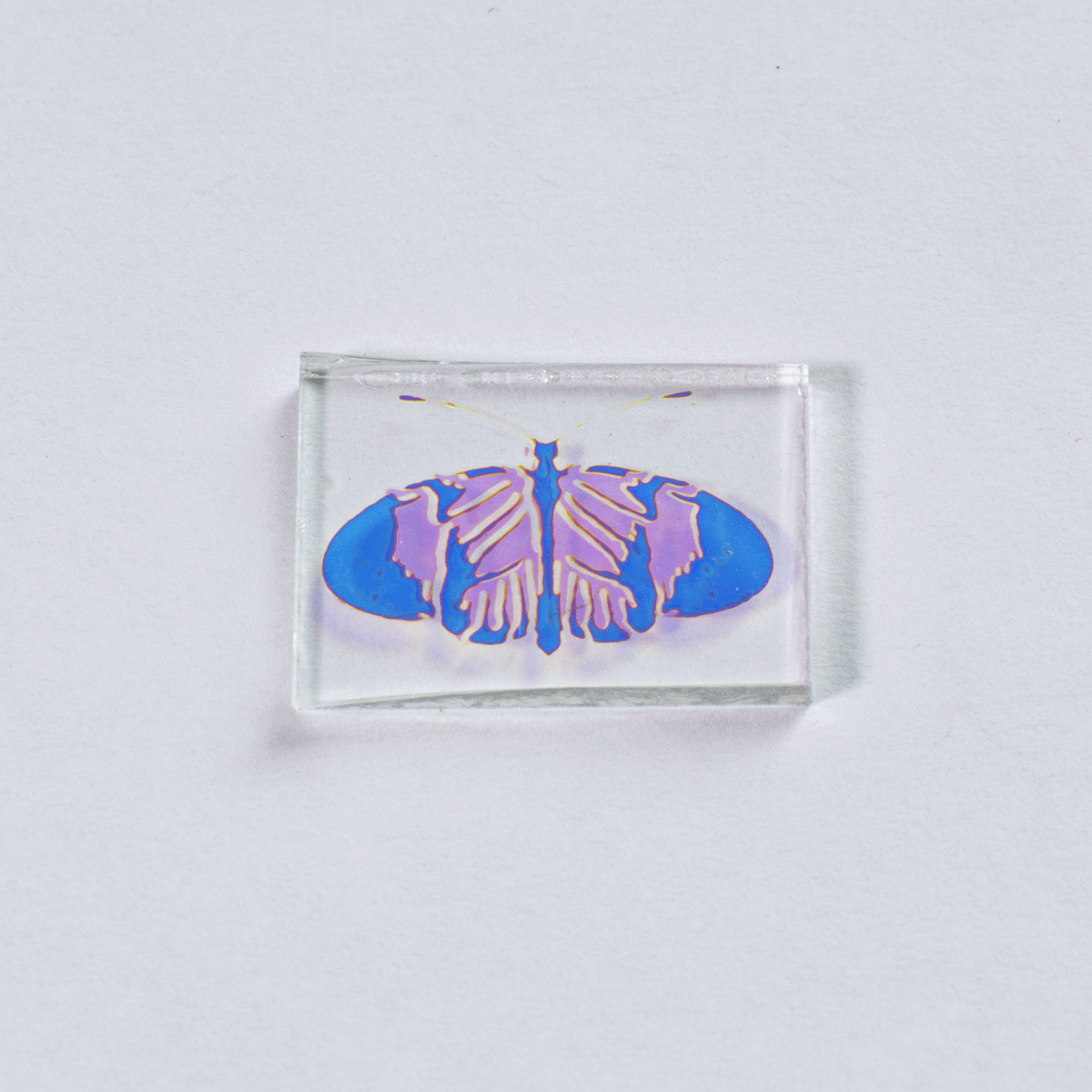 Technicolor Butterfly Medium Size on Clear COE 96