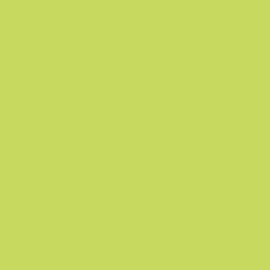 Color For Earth Key Lime Glass Paint