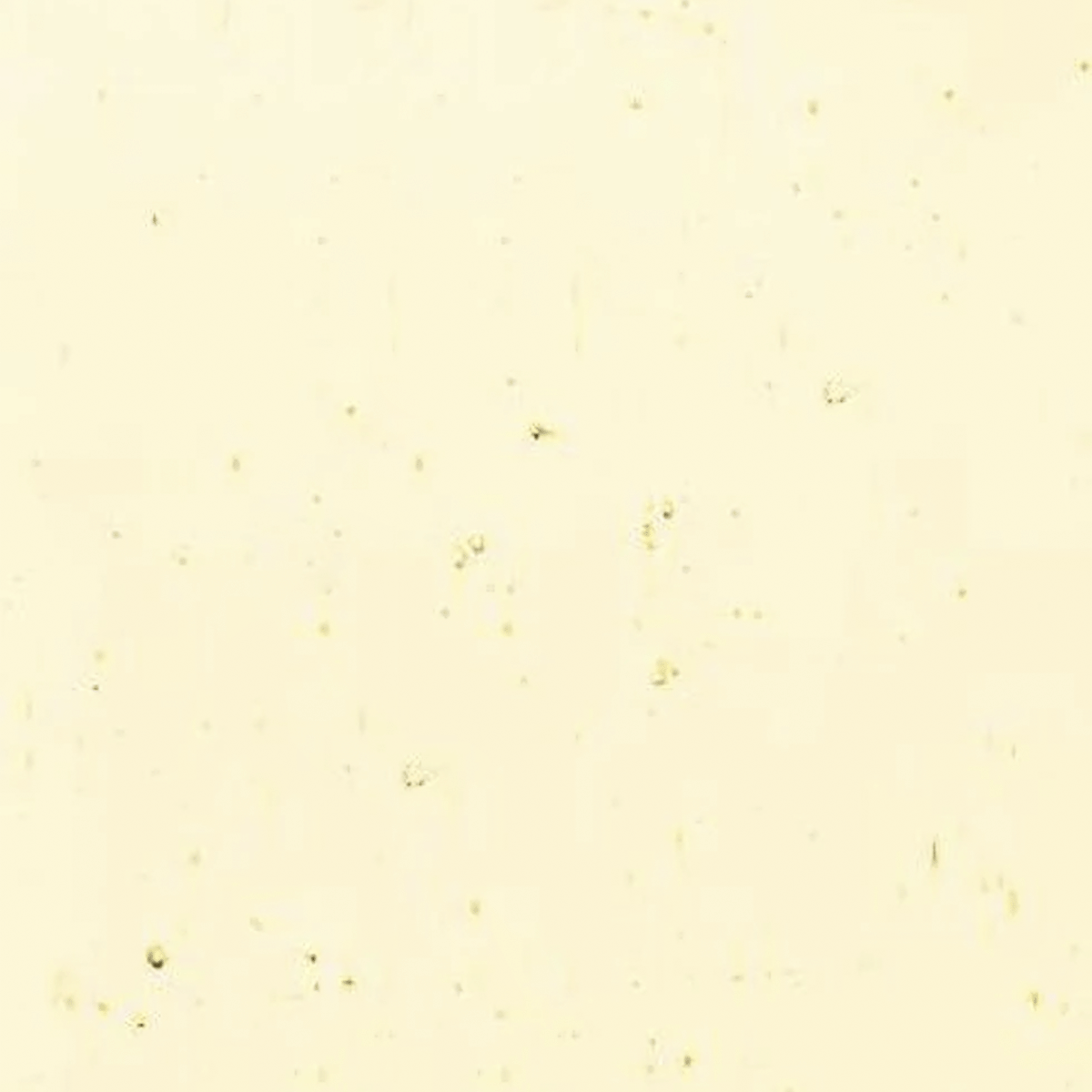Pale Amber