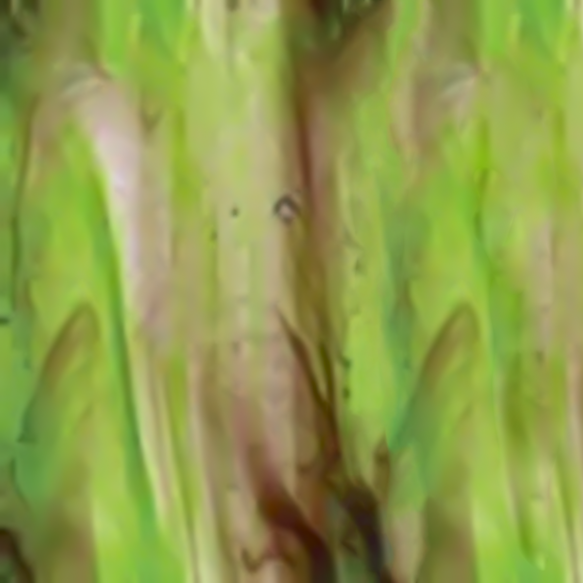 Purple Brown, Green (659), Clear, Granite