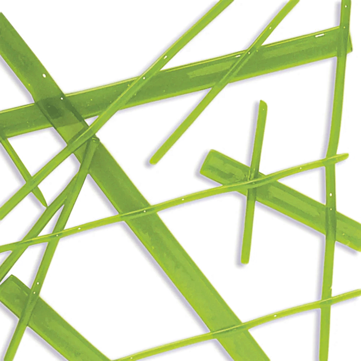 Moss Green Transparent