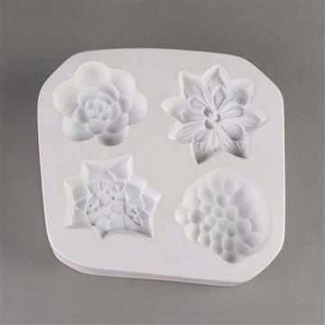 Small Succulent Mold