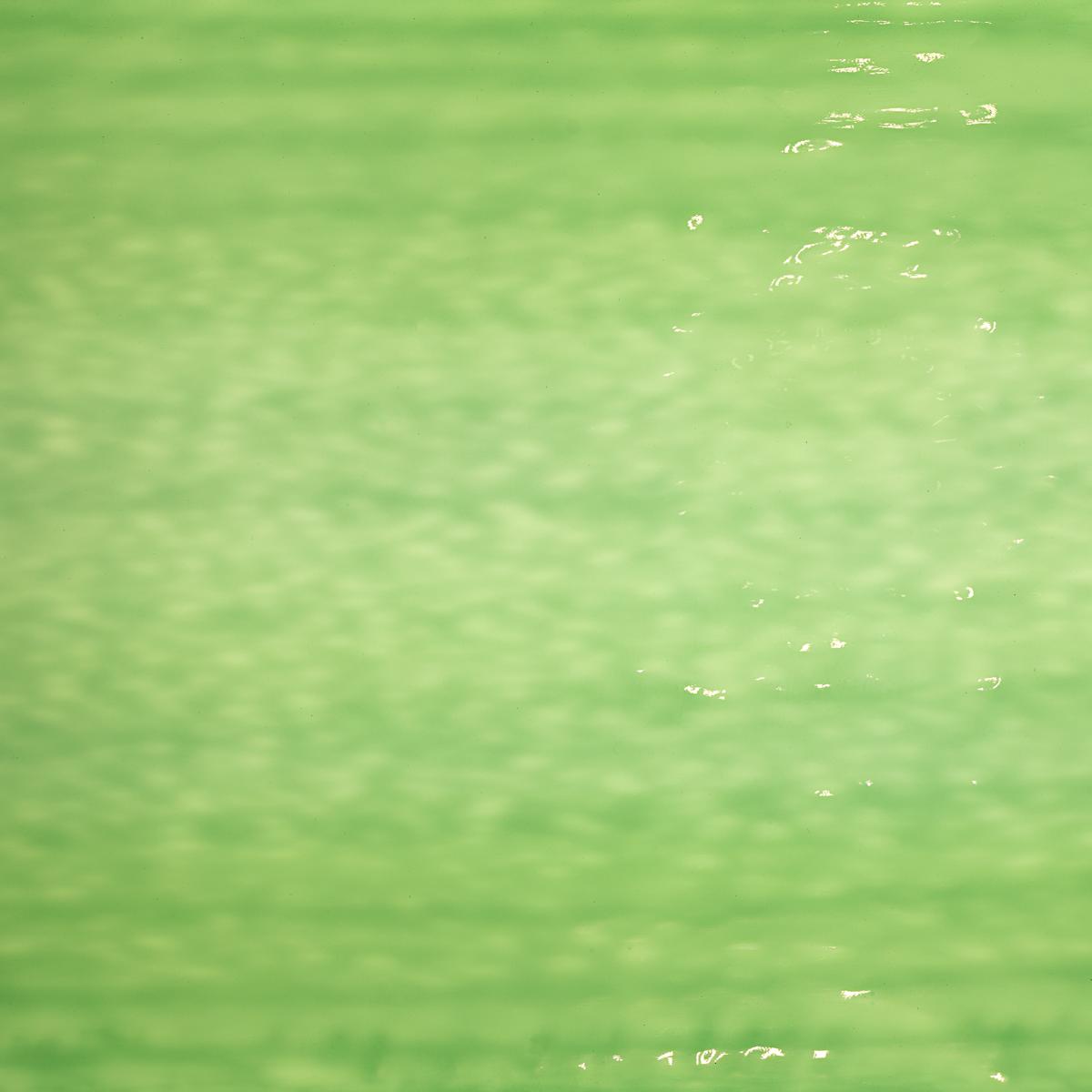 LIGHT OLIVE GREEN WATERGLASS