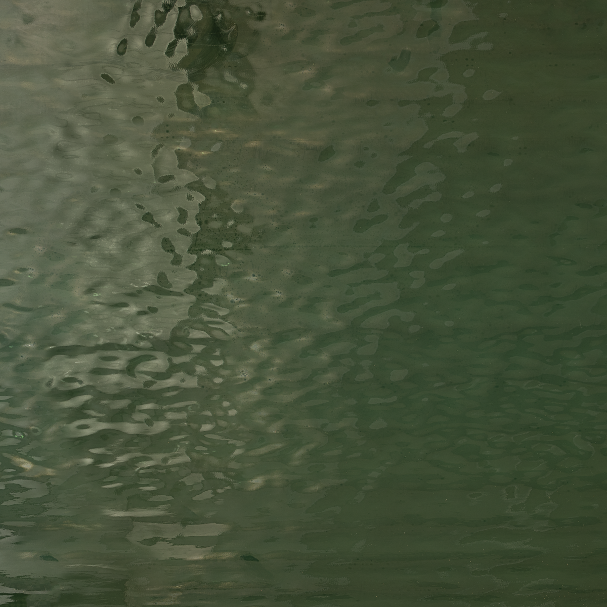 Dark Sea Green Waterglass