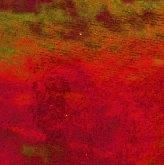 Red Opal Luminescent