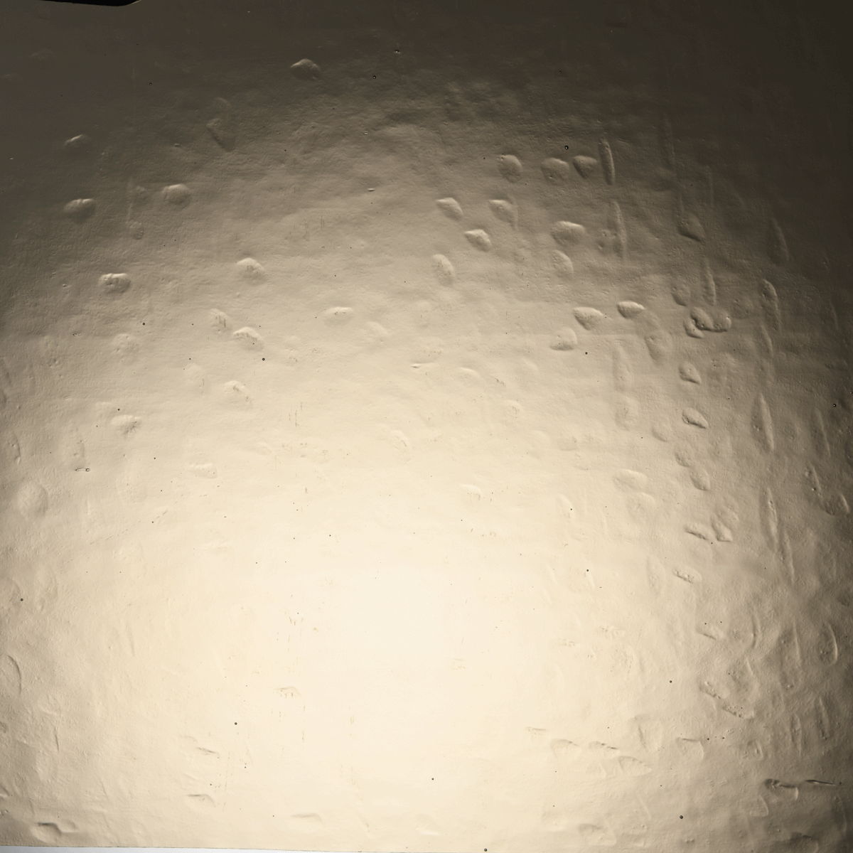 FLESHSTONE DR CATHEDRAL