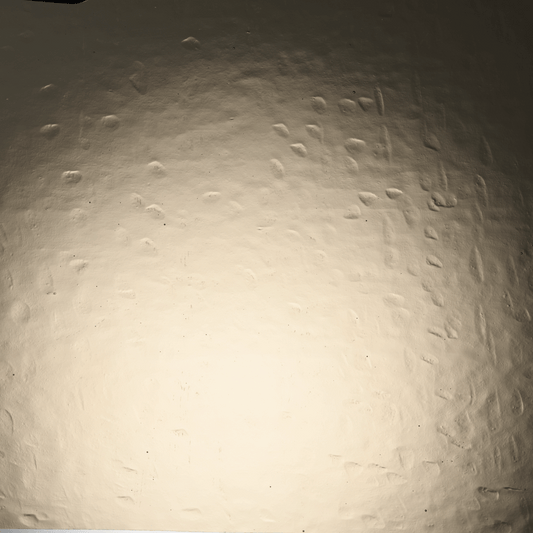 FLESHSTONE DR CATHEDRAL