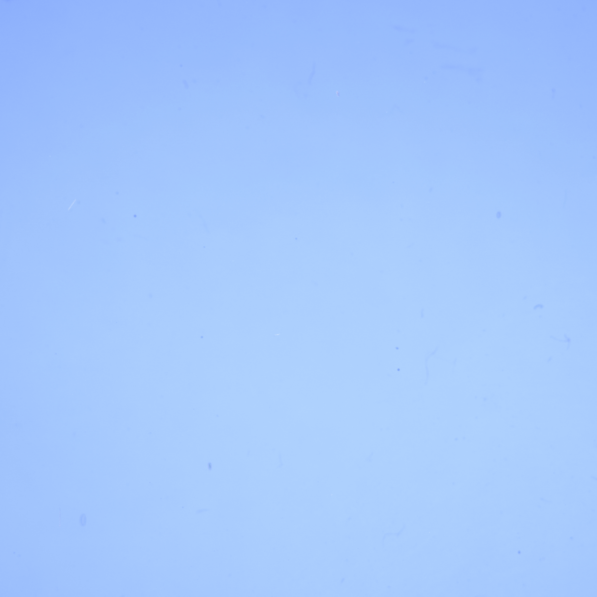 Transparent Sapphire Blue