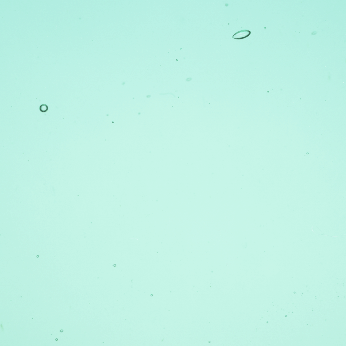 Transparent Emerald Coast