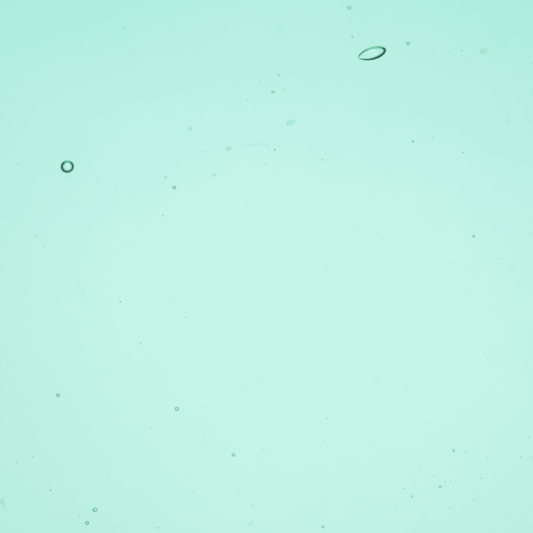 Transparent Emerald Coast