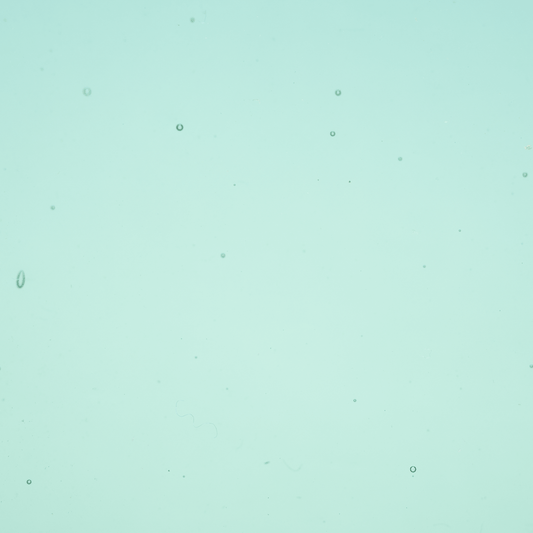 Transparent Turquoise Green