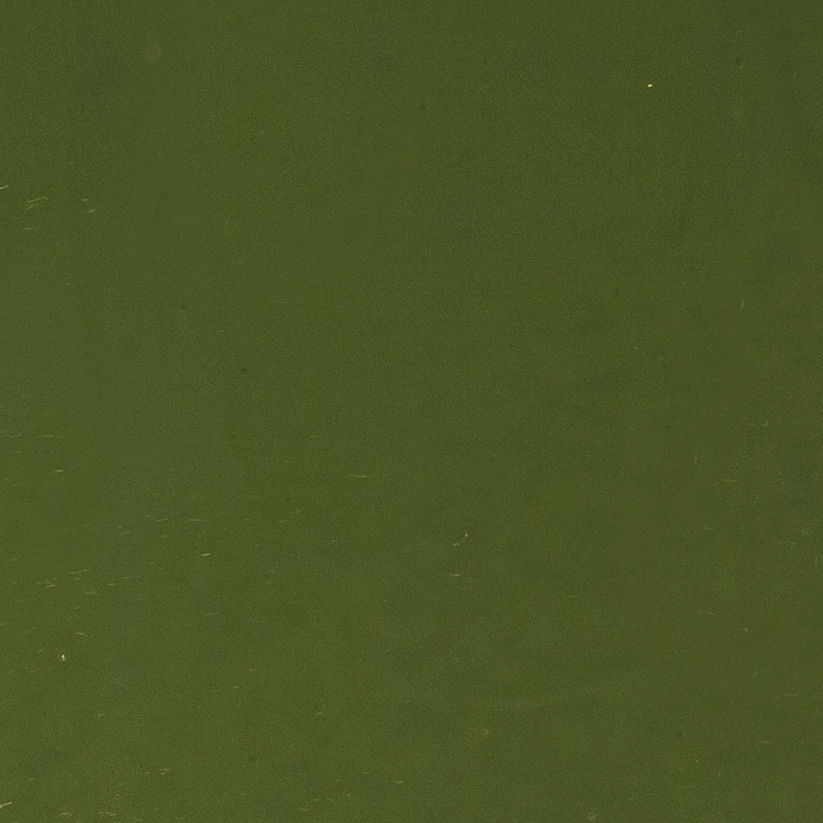 Moss Green, 3 mm - 10" square