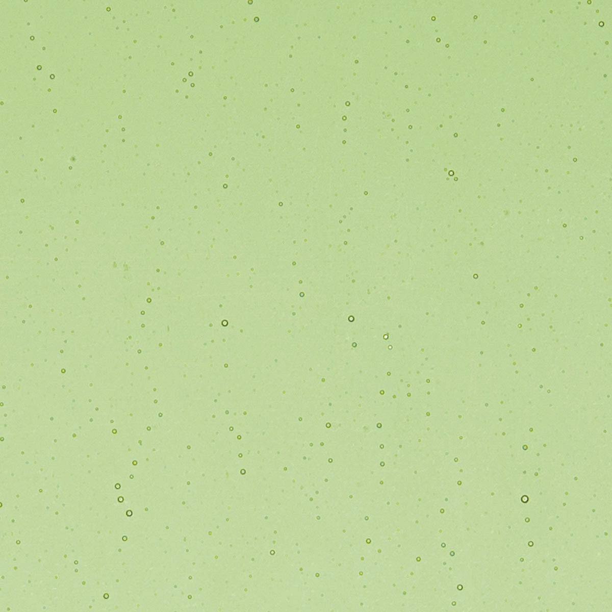 Light Green, 2 mm