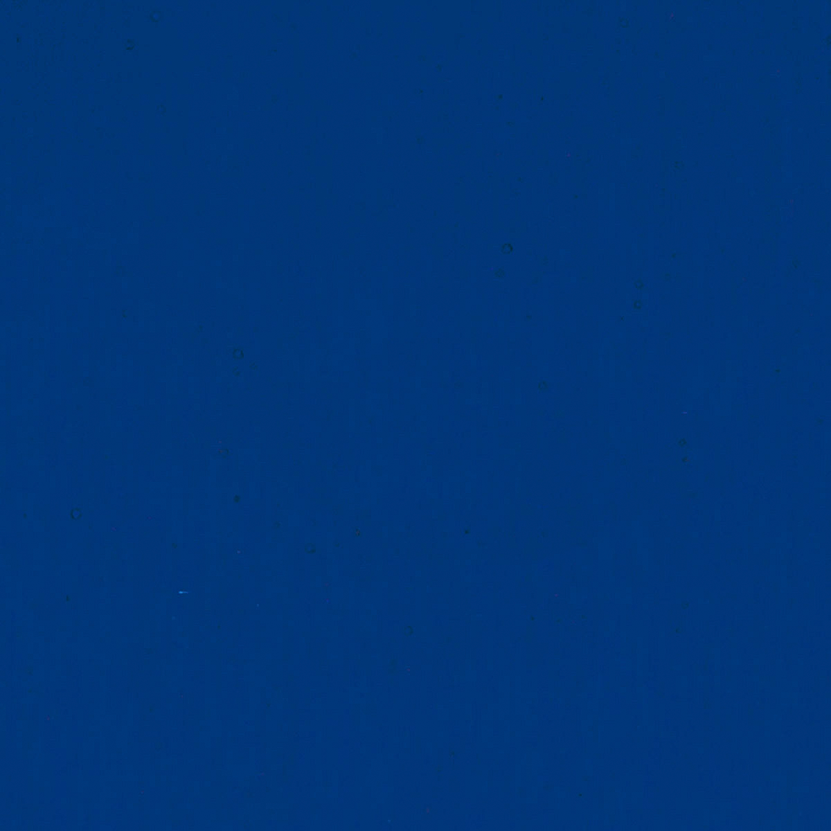 Midnight Blue, 3 mm - 10" square