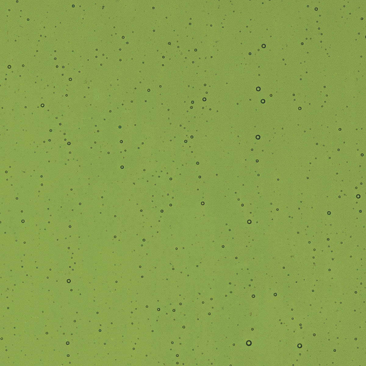 Olive Green, 3 mm